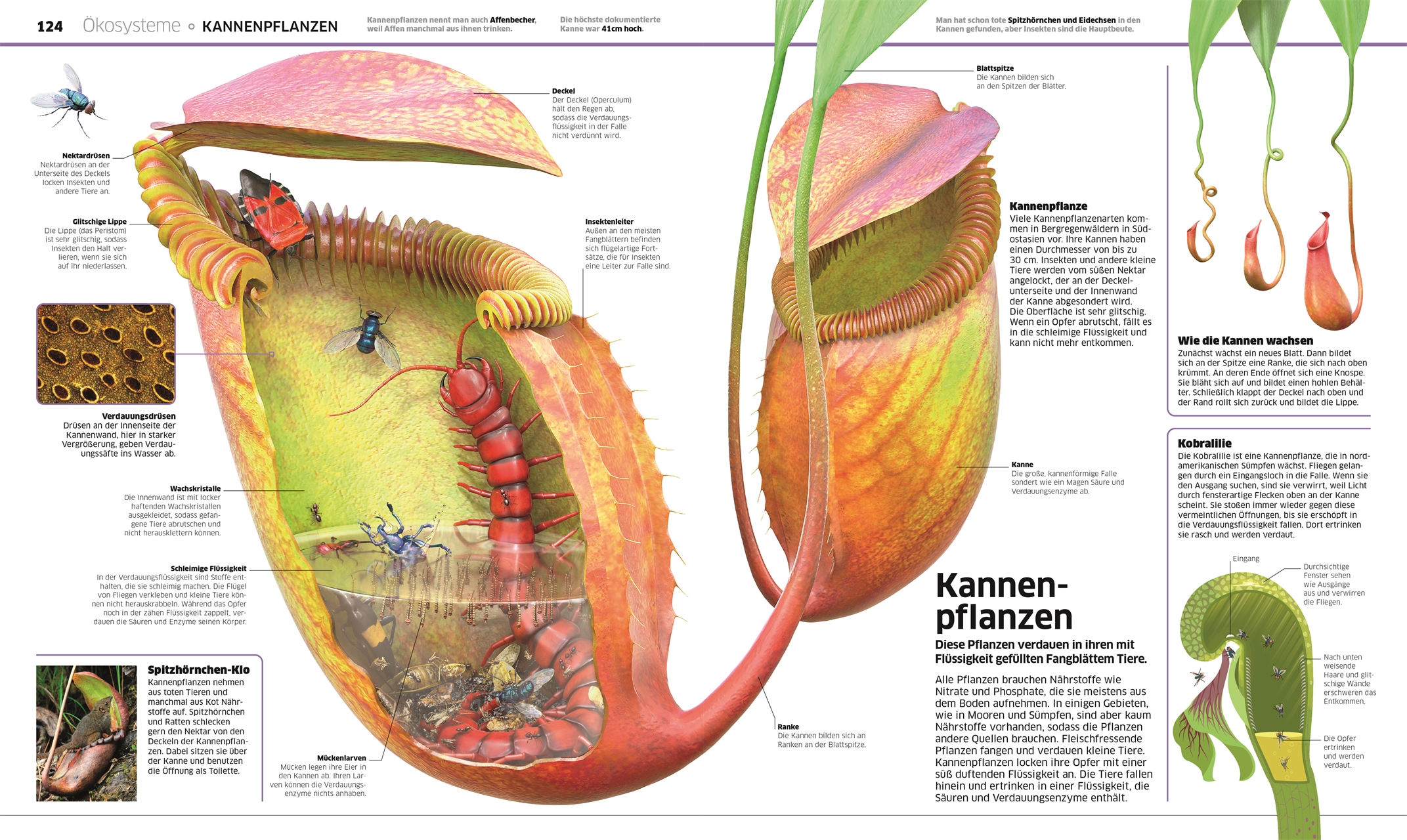 9783831049134_innenansicht_06.jpg